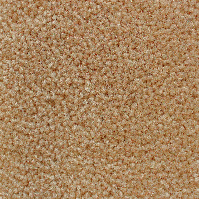 1227 sahara